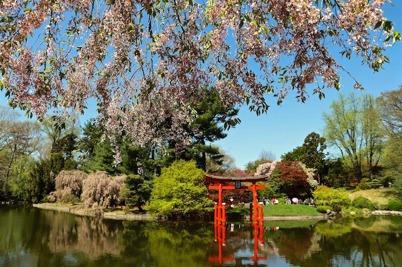 Brooklyn Botanic Garden