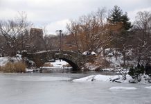 衝撃の瞬間!真冬のセントラルパーク 7人の若者が池に落ちる central park pond