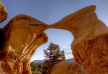 パタゴニア 国定公園を見直す大統領令に反対 訴訟も視野に