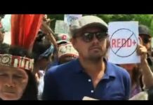 レオナルド・ディカプリオも参加 首都ワシントンで環境政策への抗議デモ