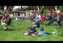 ブライアントパーク 芝生の一般開放がスタート