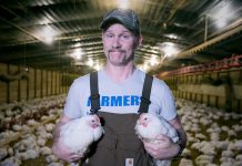 スーパーサイズミーに続編登場 テーマは「チキン」 スーパーサイズミー2:ホーリー・チキン!