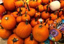 ニューヨーク 2017年10月のおすすめイベント ニューヨーク10月イベント