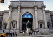 NY アメリカ自然史博物館 9月9日から再開 アメリカ自然史博物館 ニューヨーク