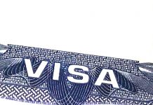 2020年度H-1Bビザ申請 通常枠受付数が上限に到達 ビザ