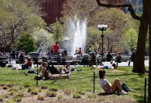 増える実家暮らし NYミレニアル世代の親同居率30%に ミレニアル世代 同居率