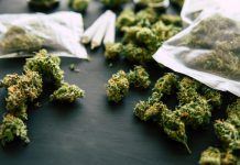 米下院司法委員会 マリファナ非犯罪化法案を承認 マリファナ NY 逮捕