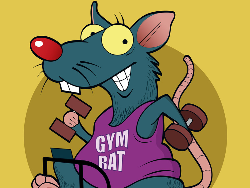 話題動画 エスカレーターでワークアウト ネズミを襲った悲劇 Mashup Reporter