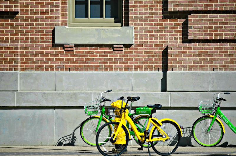 dockless bike