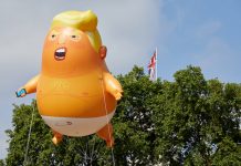 トランプベビー