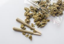 NY市長、嗜好用マリファナ合法化を支持 marijuana