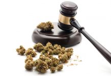 マンハッタン マリファナ所持と使用に関する起訴を停止 マリファナ