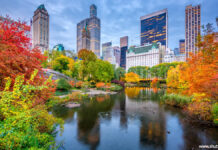 ニューヨーク 紅葉鑑賞スポット8選