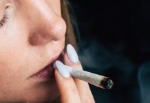 マリファナは脳の老化を促進。脳画像分析で明らかに マリファナ 脳の老化