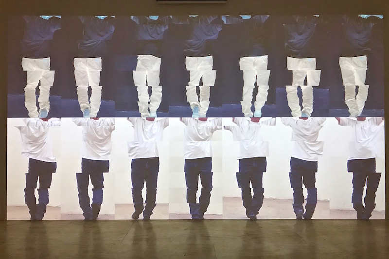 Bruce Nauman The True Artist　ブルース・ナウマン ブルース・ナウマン【The Ture Artist】 - 京都にある、美術洋書
