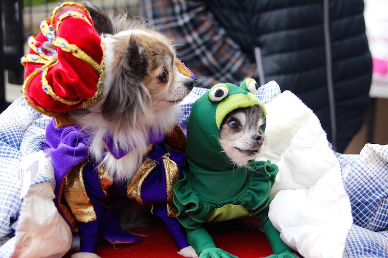 トンプキンススクエア・ハロウィンドッグパレード