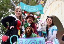 ワンちゃん達の仮装大会 ハロウィンドッグパレード開催 トンプキンススクエア・ハロウィンドッグパレード