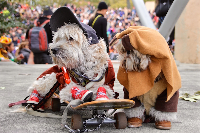 トンプキンススクエア・ハロウィンドッグパレード