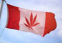 カナダで嗜好用大麻が解禁 – 米議員の動きは?
