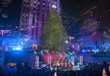 NYロックフェラーセンターのクリスマスツリー、12月4日に点灯式 ロックフェラーセンター クリスマスツリー