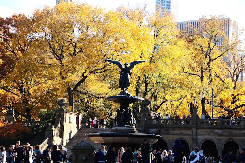 Bethesda Fountain