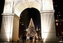 ニューヨークのクリスマスツリー TOP10 ワシントンスクエアパーク クリスマスツリー