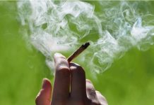 ニューヨーク州知事 嗜好用マリファナ合法化を来期の重点項目に