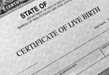 NY市 出生証明書にノンバイナリー「X」の選択肢 新法施行