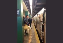 NY地下鉄 犬のキャリーバッグ巡りバトル勃発 MTA