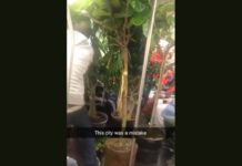 春の珍事? NY地下鉄車内がジャングルに