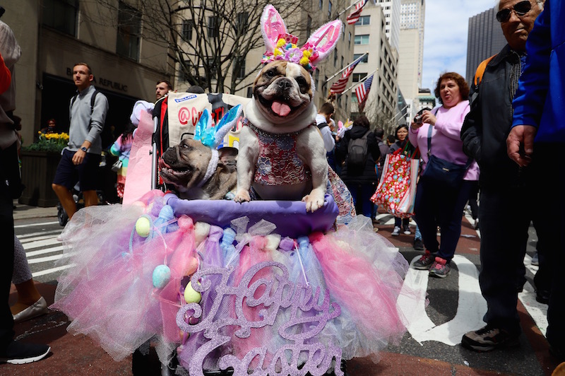 Easter Parade and Easter Bonnet Festival 2019