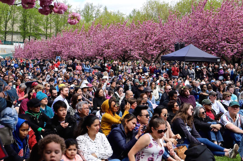 sakura matsuri 2019