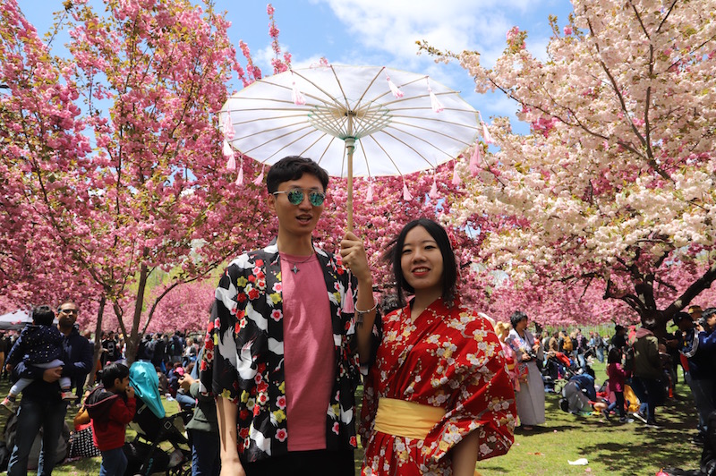 sakura matsuri 2019