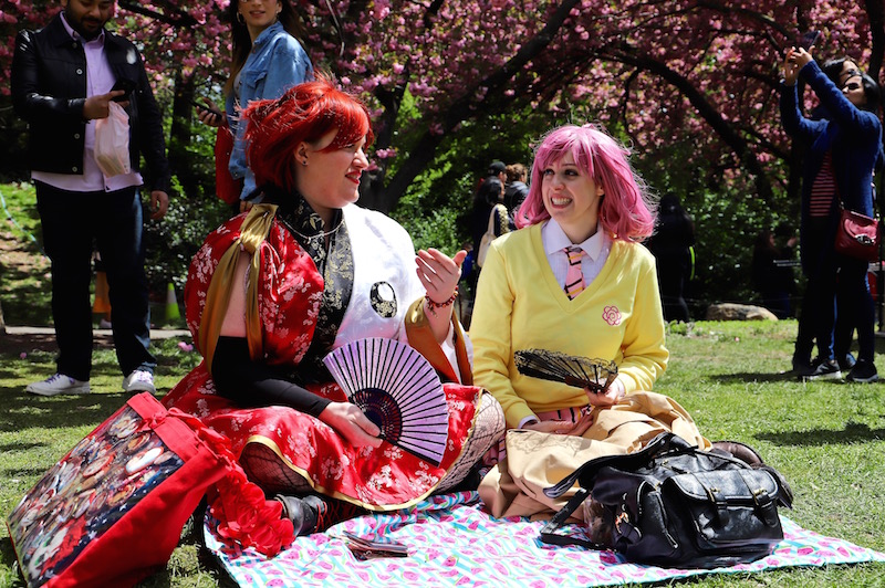 sakura matsuri 2019