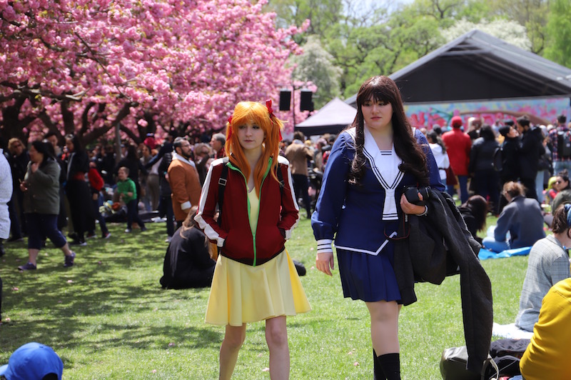 sakura matsuri 2019