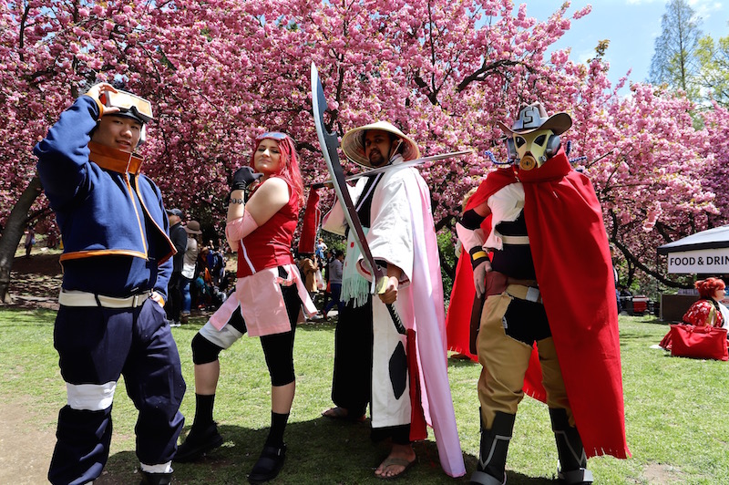 sakura matsuri 2019