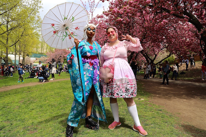 sakura matsuri 2019