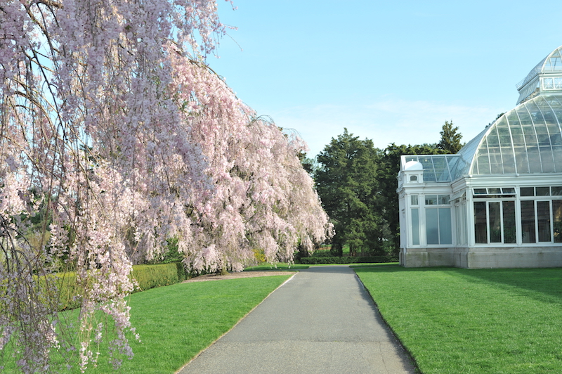 New York Botanical Garden, Bedford Park, Bronx 