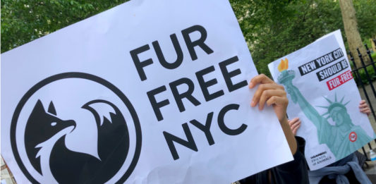 fur ban