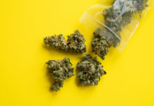 米女子選手が五輪出場禁止 マリファナNGの理由とは? marijuana