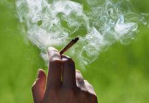 NY州 マリファナ合法化。過去の犯罪歴を取り消し マリファナ