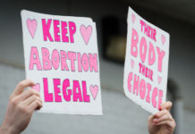 イリノイ州上院 中絶権利法案を可決 Traci Hahn / Shutterstock.com