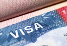 米国に進出・起業に適したビザとは? その1「L-1」ビザを専門解説 US VISA