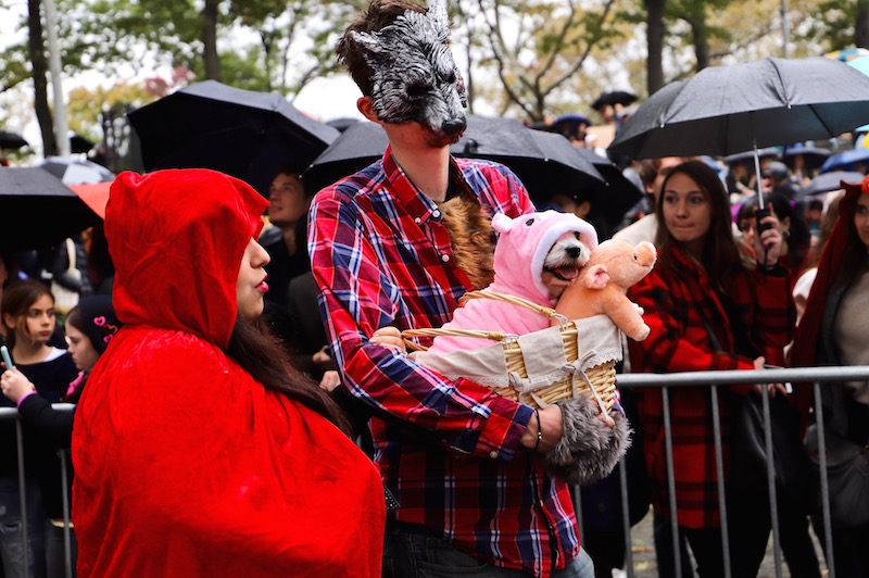 Tompkins Square Halloween Dog Parade