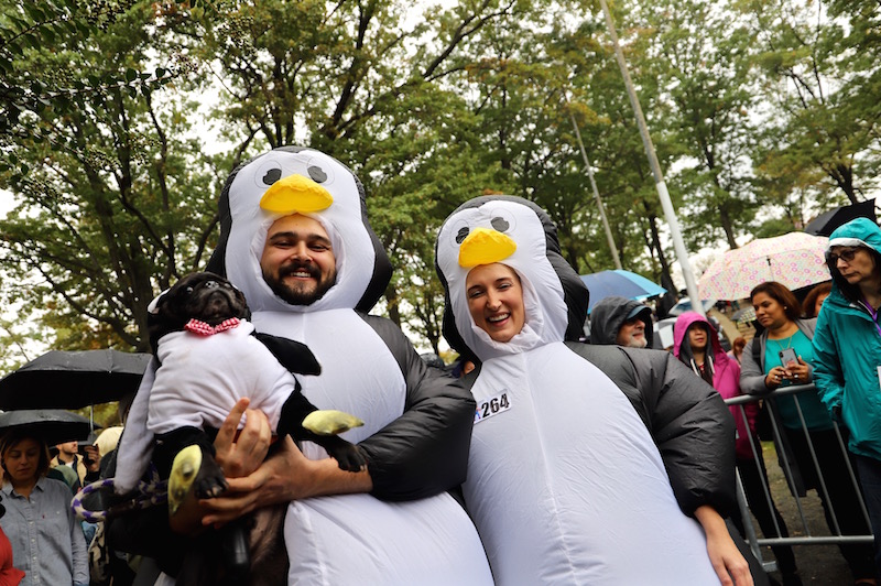 Tompkins Square Halloween Dog Parade