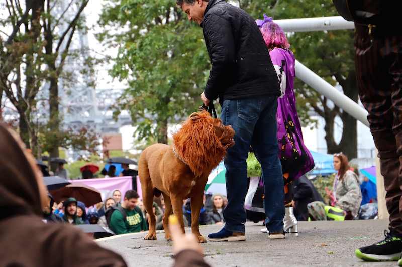 Tompkins Square Halloween Dog Parade