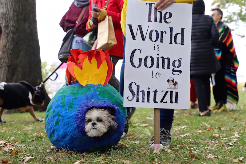 Tompkins Square Halloween Dog Parade