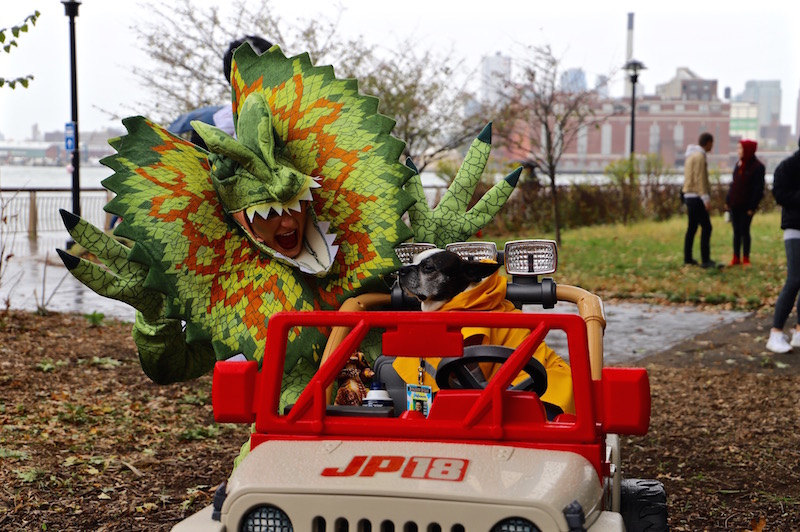 Tompkins Square Halloween Dog Parade