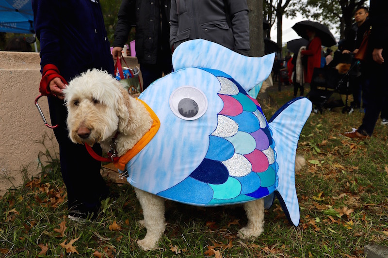 Tompkins Square Halloween Dog Parade