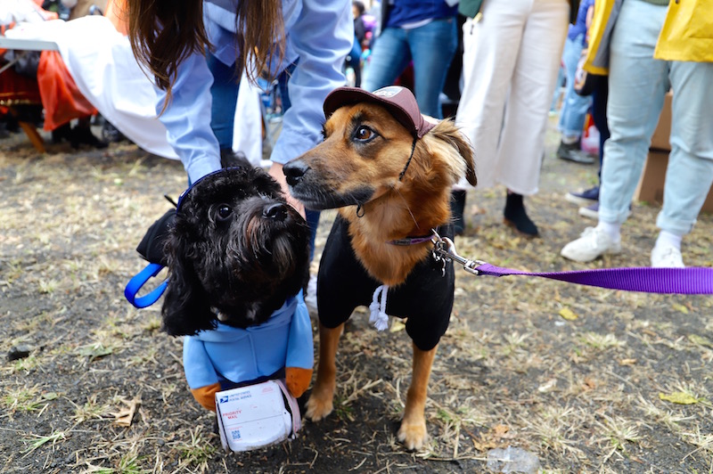 Tompkins Square Halloween Dog Parade